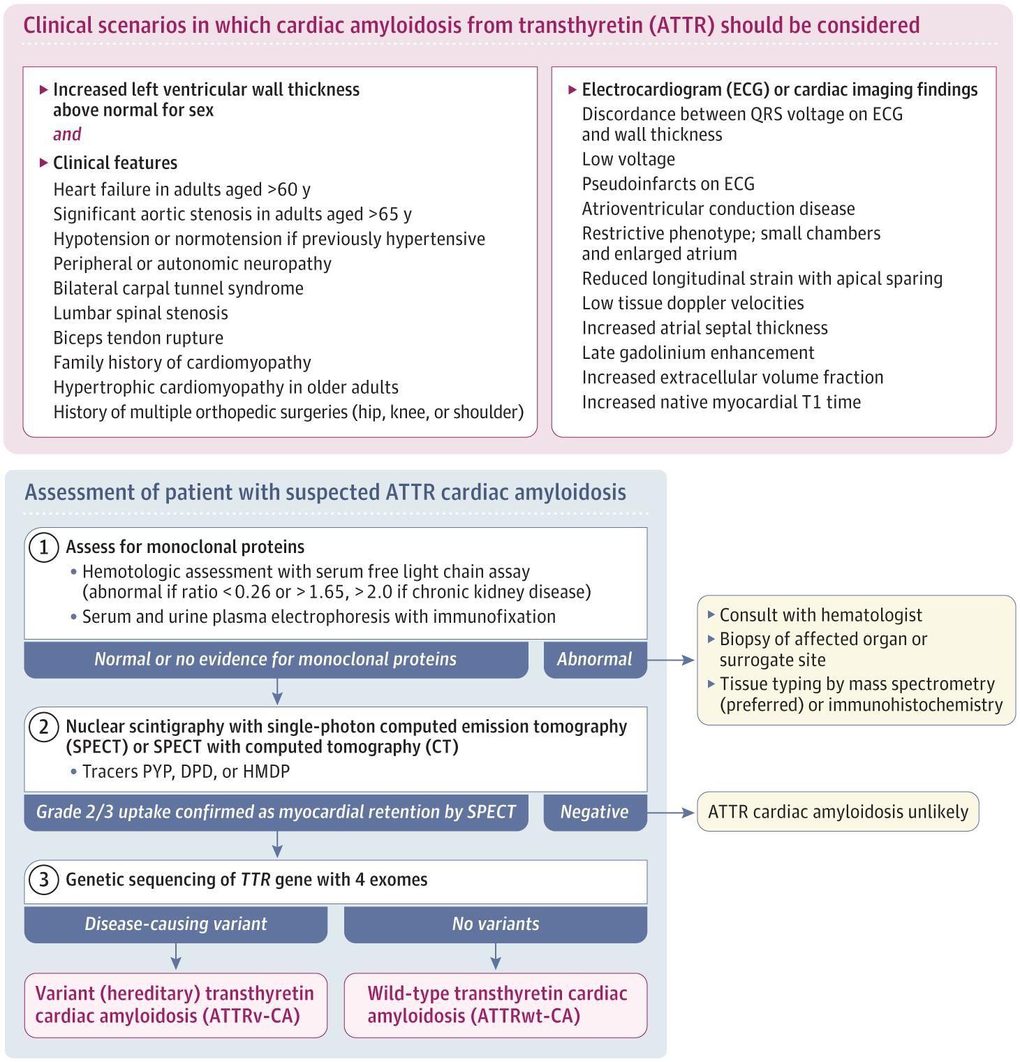 Noninvasive Diagnosis of ATTR Cardiomyopathy