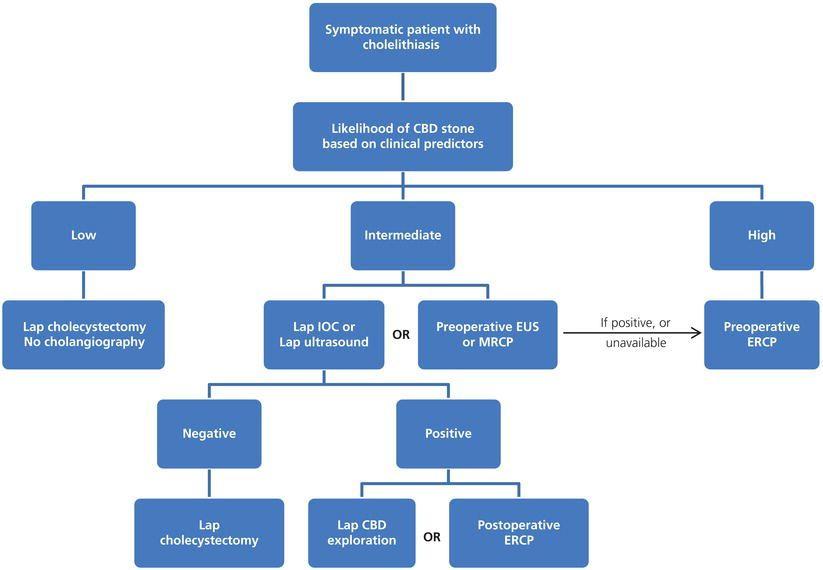Management flowchart of patients with choledocholithiasis. The combination of clinical features, laboratory tests, and abdominal ultrasound contributes to define the predictors into very strong (bile duct stone, cholangitis, and hyperbilirubinemia), strong (dilated bile duct and hyperbilirubinemia), and moderate (other abnormal liver biochemical tests, age >55 years, and gallstone pancreatitis). By grouping the predictors, patients are stratified into three different levels of risk of having choledocholithiasis (low, intermediate, and high). This status indicates the subsequent therapeutic approach. Laparoscopic cholecystectomy with intraoperative cholangiography ± postoperative ERCP is the most cost‐effective approach. CBD, common bile duct; ERCP, endoscopic retrograde cholangiopancreatography; EUS, endoscopic ultrasound; IOC, intraoperative cholangiogram; Lap, laparoscopic; MRCP, magnetic resonance cholangiopancreatography. Source: American Society for Gastrointestinal Endoscopy (ASGE) Standards of Practice Committee. The role of endoscopy in the evaluation of suspected choledocholithiasis. Gastrointest Endosc 2010;71:1. Reproduced with permission of Elsevier.