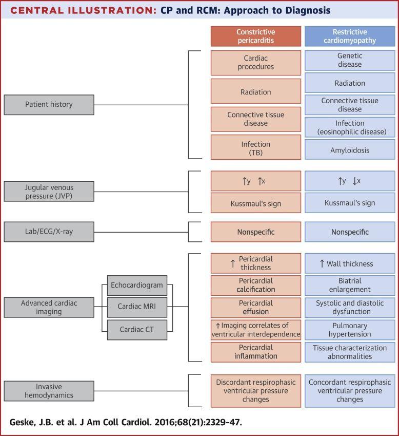 Central Illustration. CP and RCM: Approach to Diagnosis