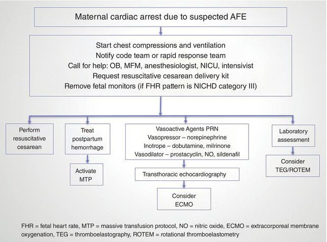 A proposed simplified approach to managing AFE. The sequence of treatment will vary according to individual case events and available resources. FHR: fetal heart rate; MTP: massive transfusion protocol; NO: nitric acid; ECMO: extracorporeal membrane oxygenation; TEG: thromboelastography; ROTEM: rotational thromboelastometry.