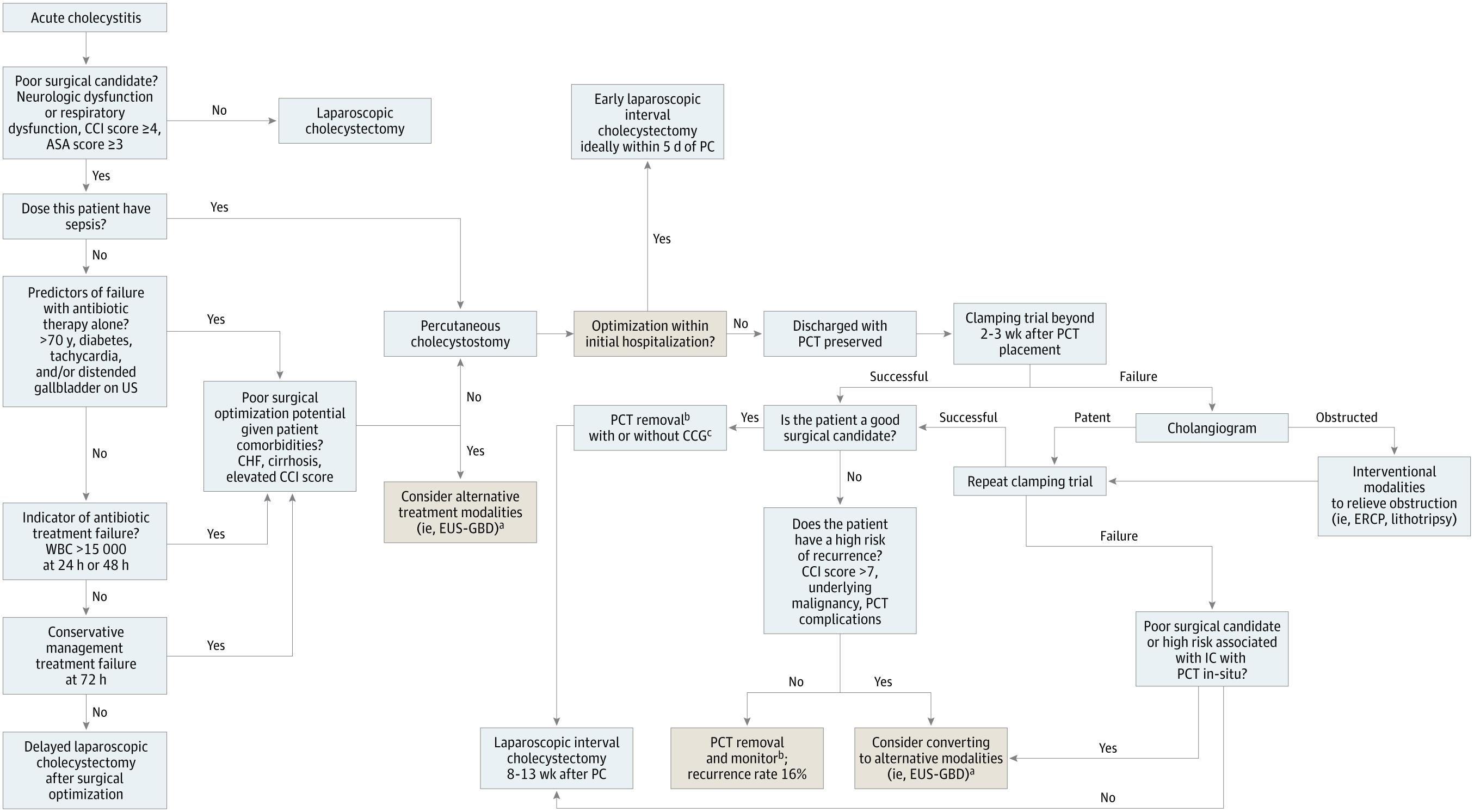 Proposed Algorithm of Indication for and Management of Percutaneous Cholecystostomy
