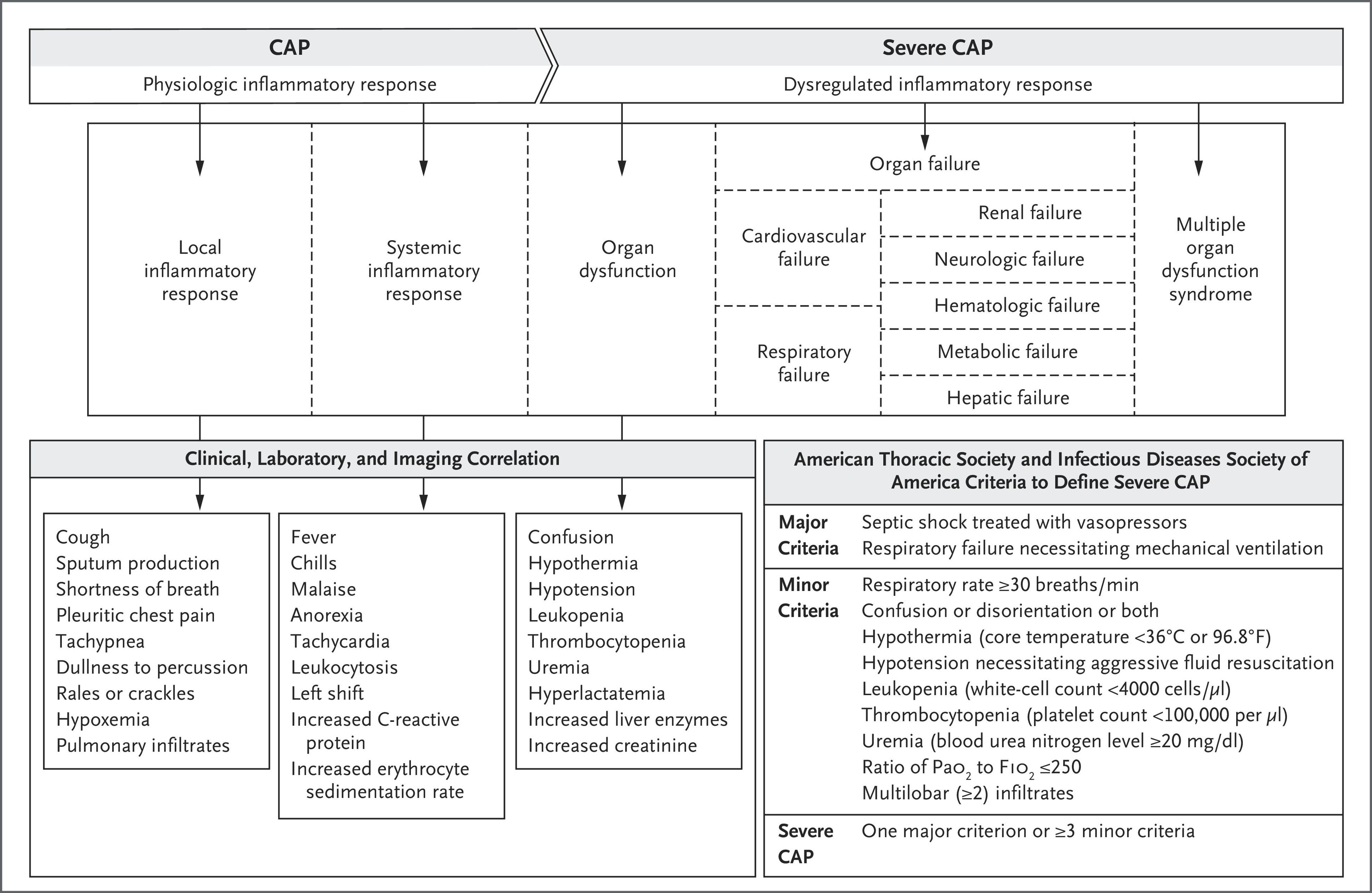 Figure 2. Pathogenesis of Community-Acquired Pneumonia (CAP) with Corresponding Clinical, Laboratory, and Imaging Abnormalities.