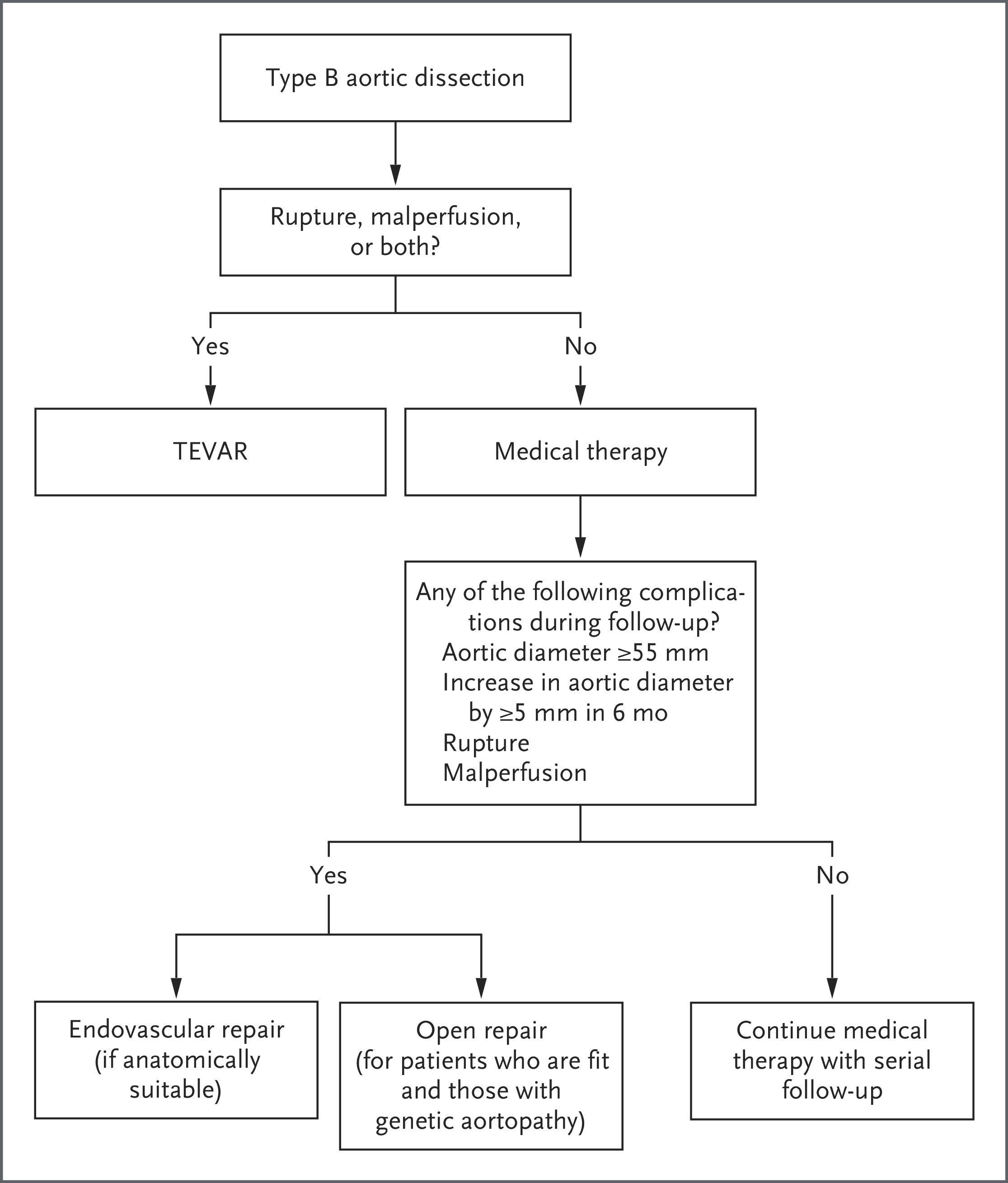Algorithm for the Management of Type B Aortic Dissection.